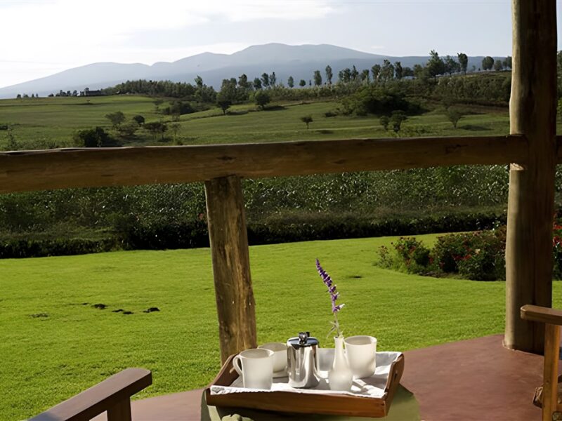 View from verandah