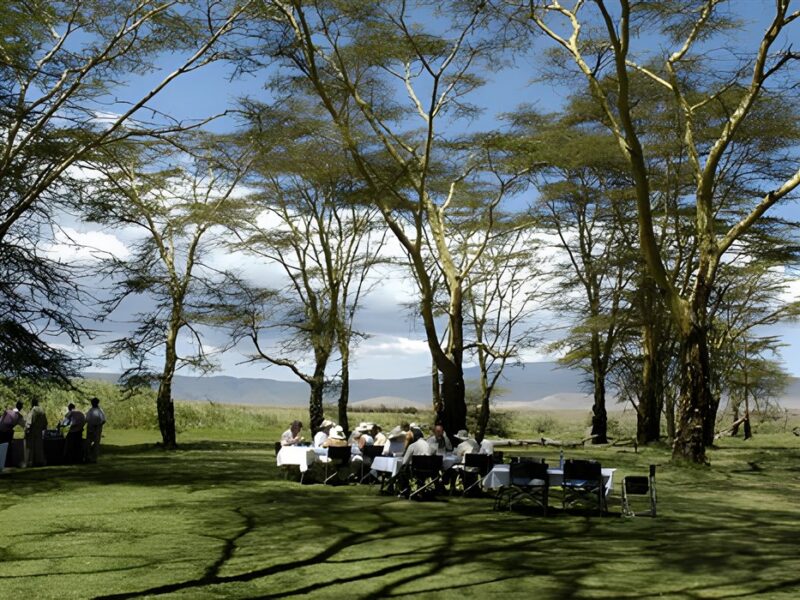 Lunch in the Crater