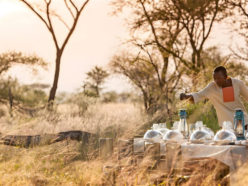 Bush Dinner