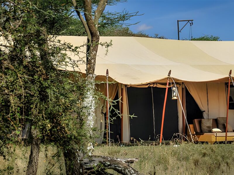 Guest tent exterior