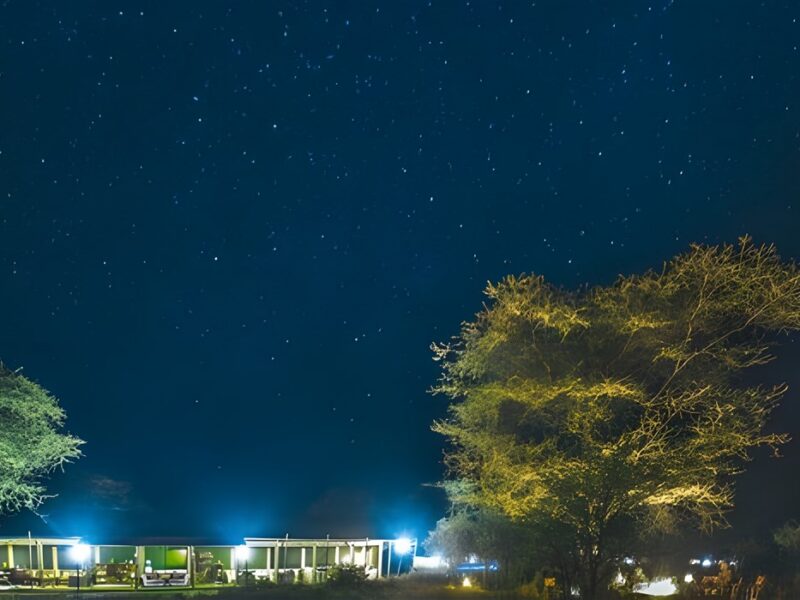  Lemala Ewanjan under the stars