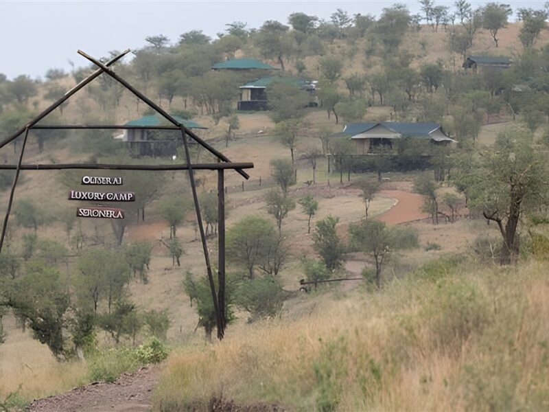 Gate Entrance