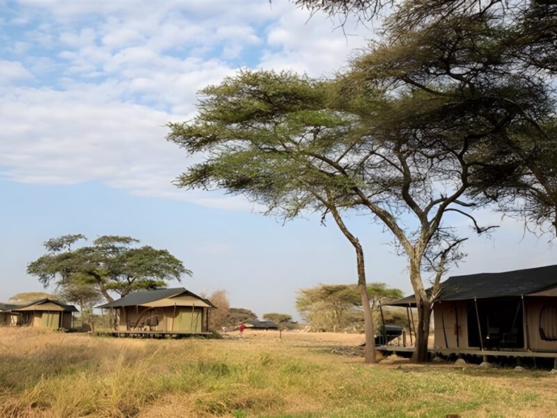 Luxury Tent Exterior