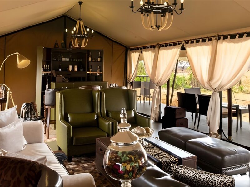 Lounge & Bar Area