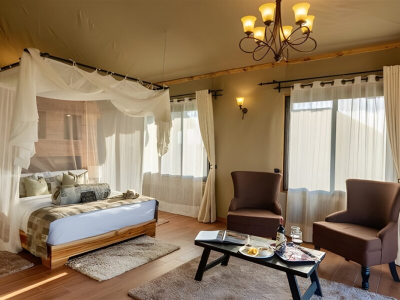 Double bed room