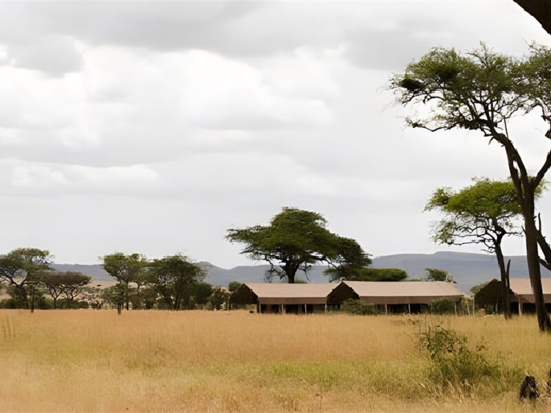 Overview