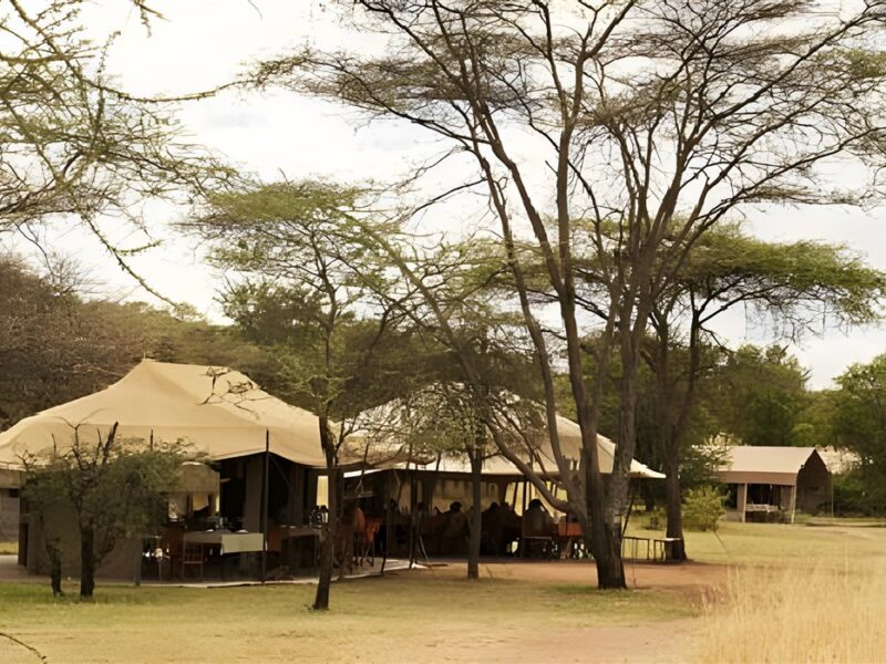 Tent exterior