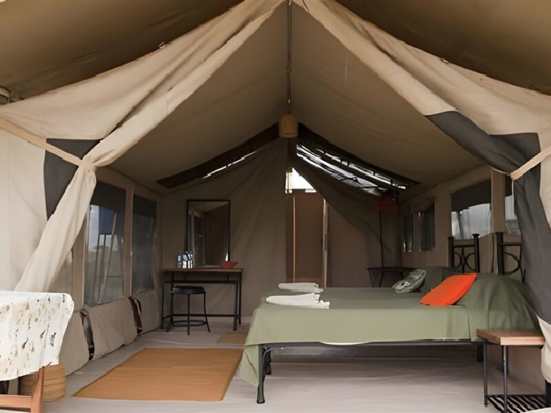 Guest tent