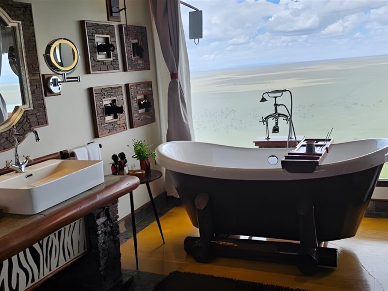 Bath with a view