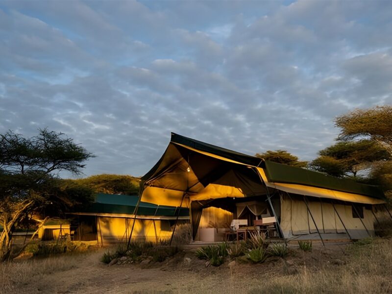 Double bed tent