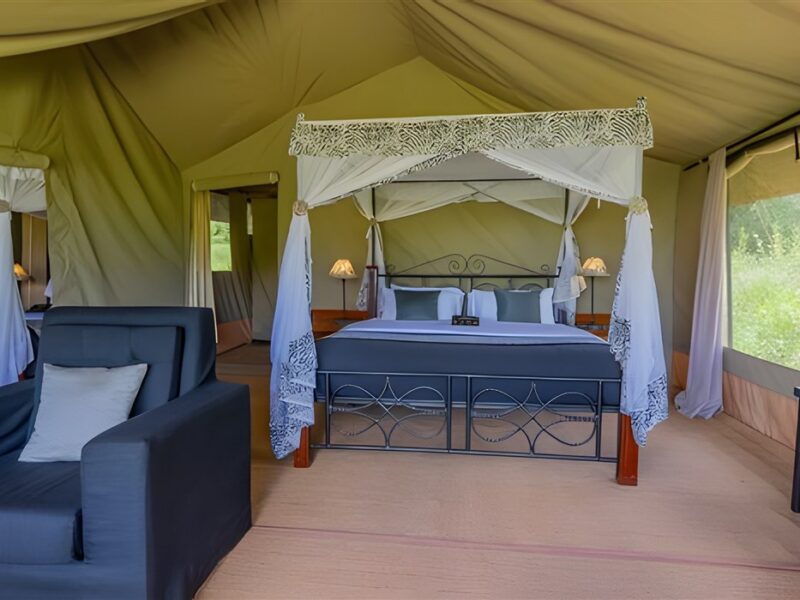 Single bed tent