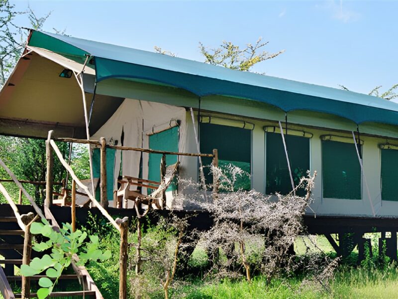 Tent exterior