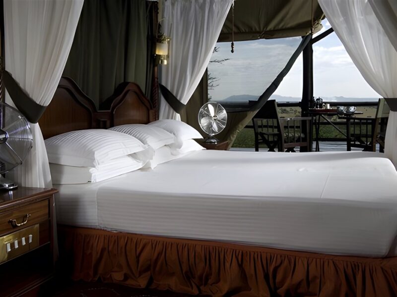 Guest tent
