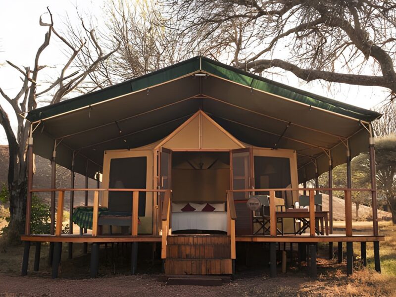 Guest tent