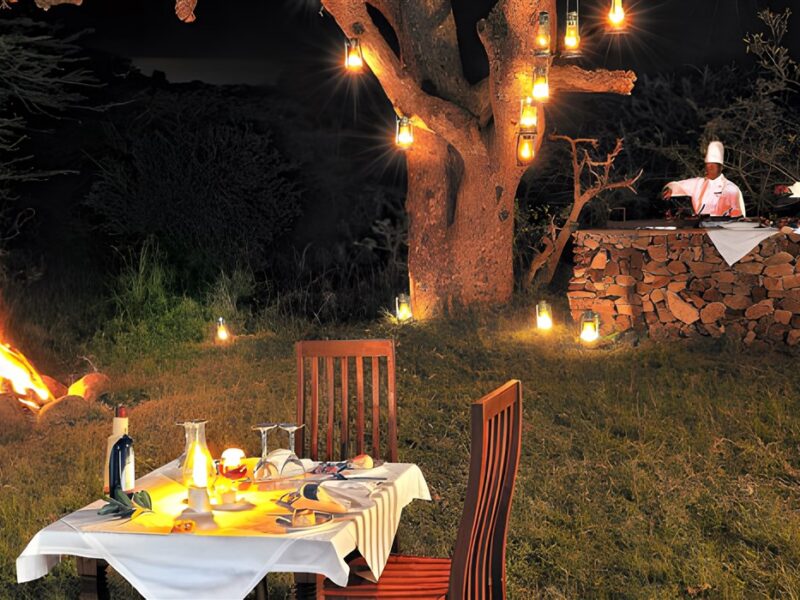 Barbecue dinner