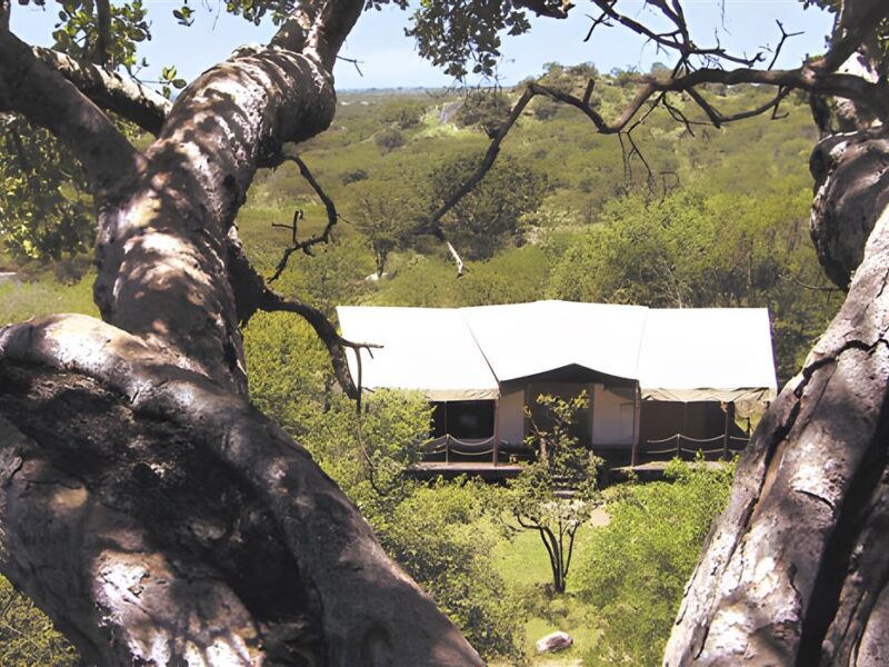 Tent exterior