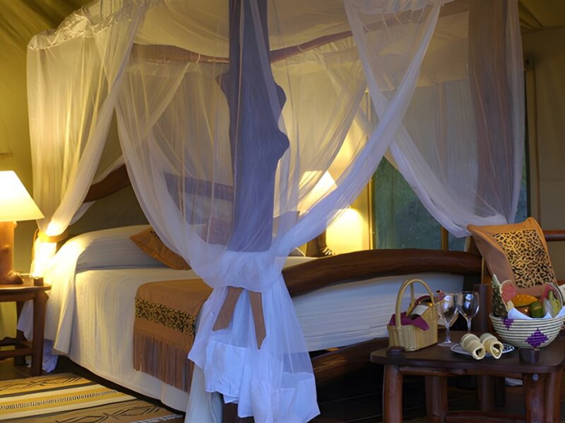 Guest tent