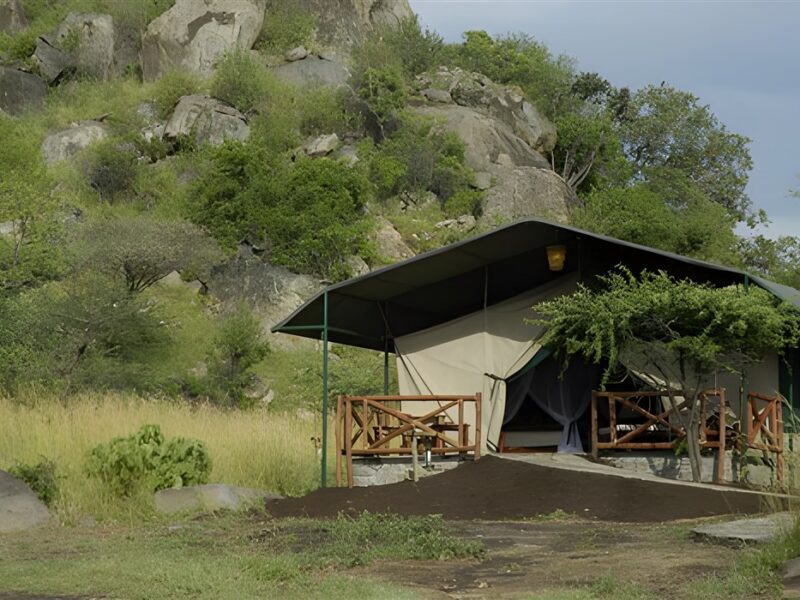Tent exterior