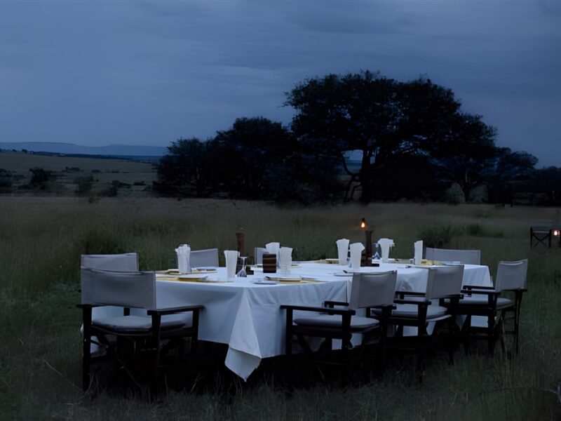 Bush dinner