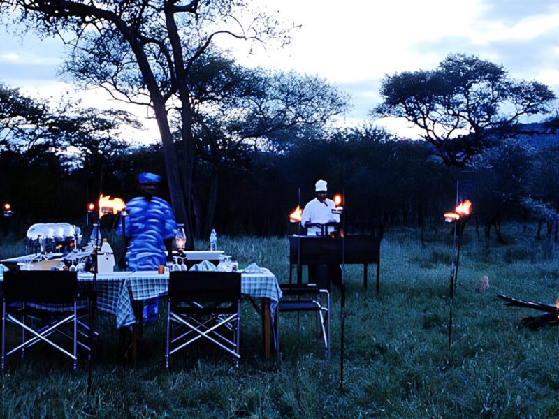 Bush dinner