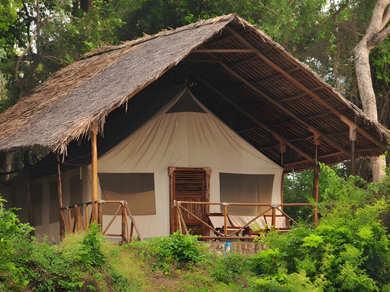 Tent exterior