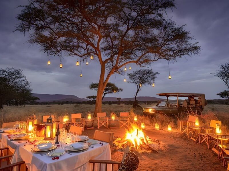 Dinner around the firepit.