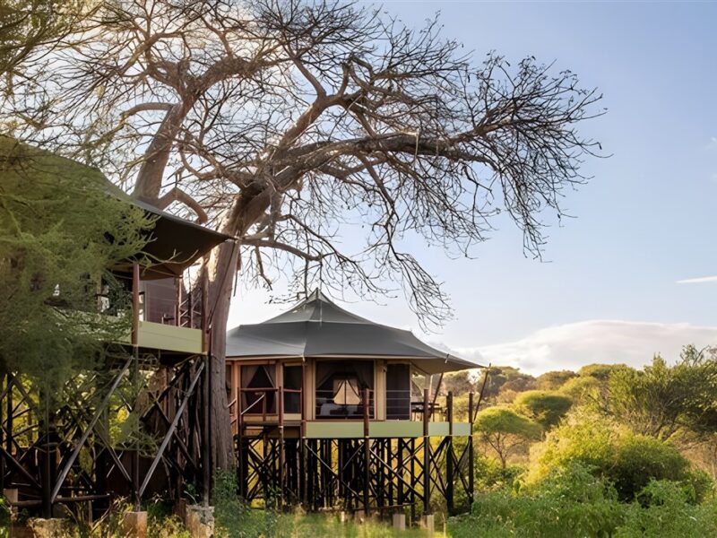 Treetops Lodge Exterior View
