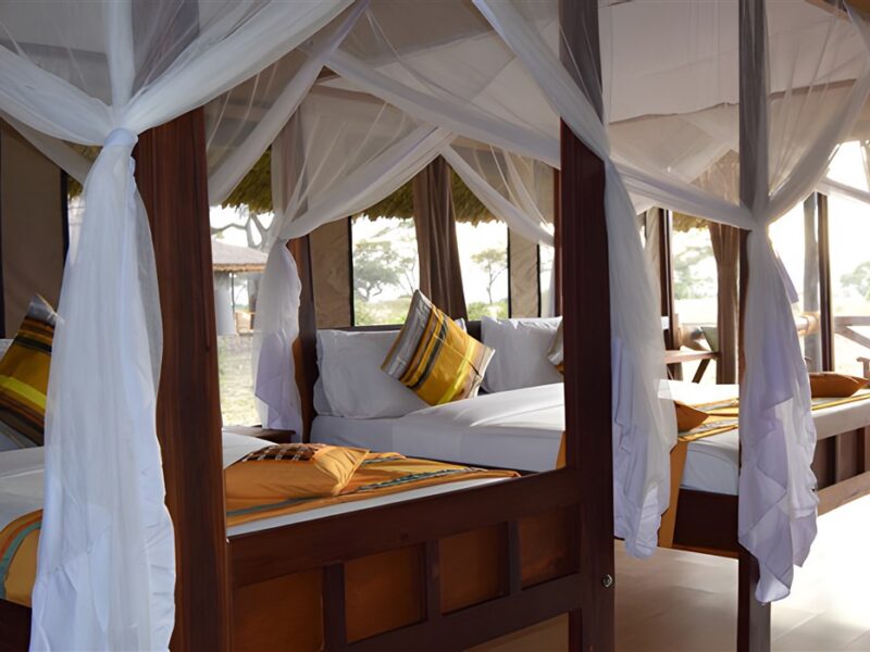 Triple room