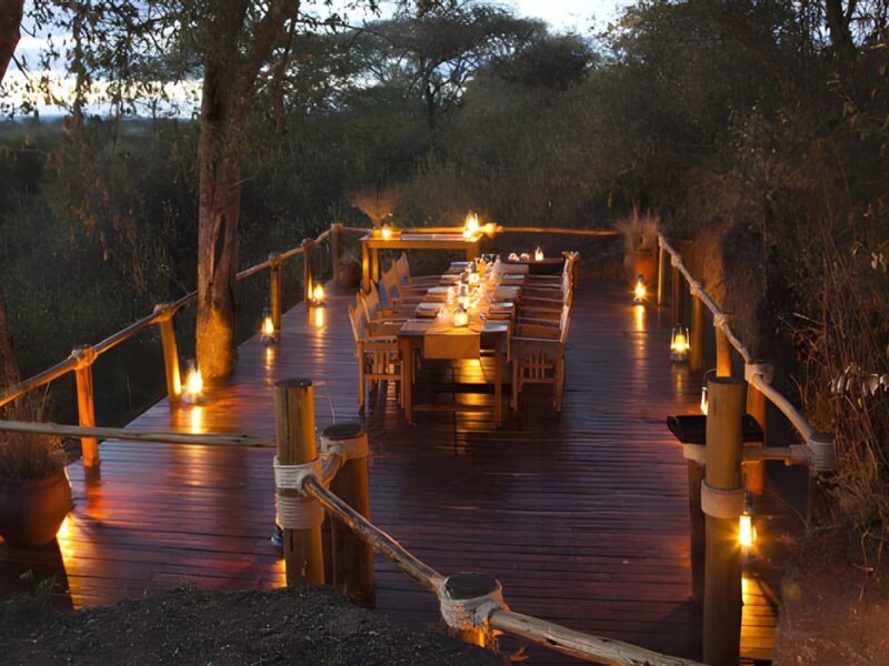 Dining Terrace