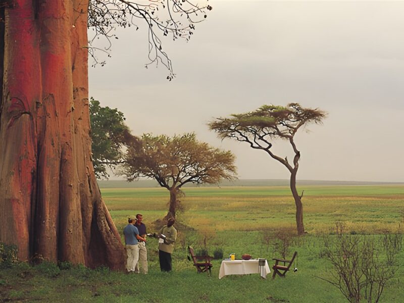 Bush breakfast