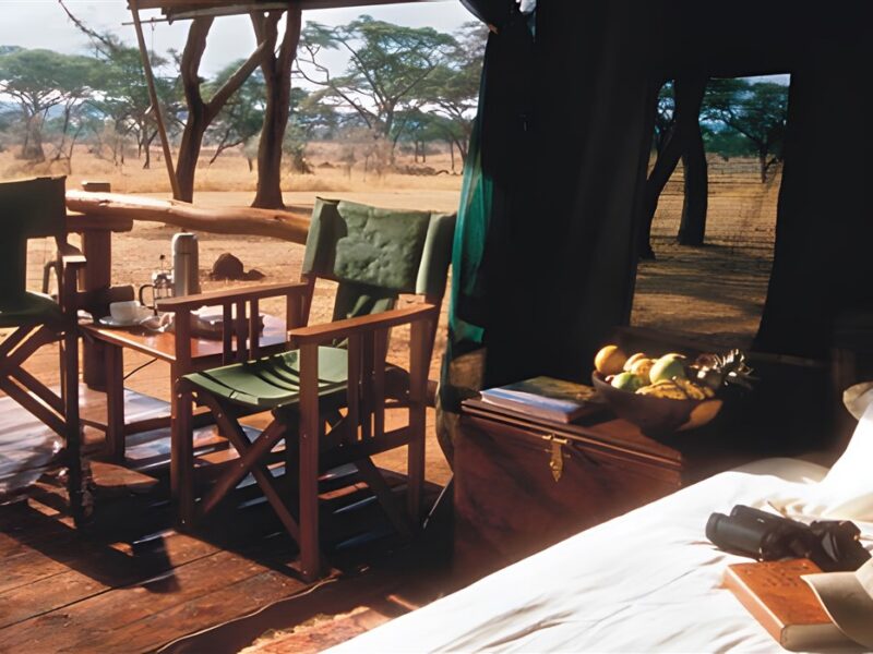 Guest tent