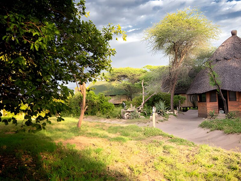 Grounds