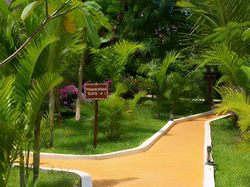 Grounds
