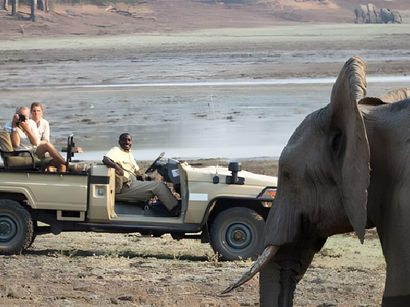 Game drive