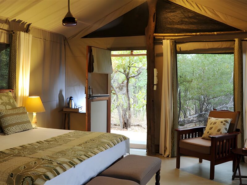Green tent