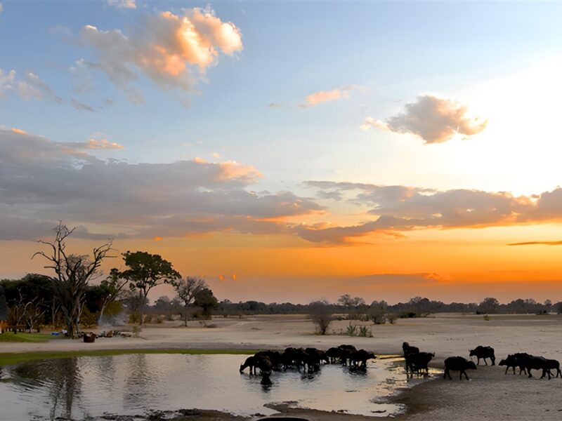Sundown