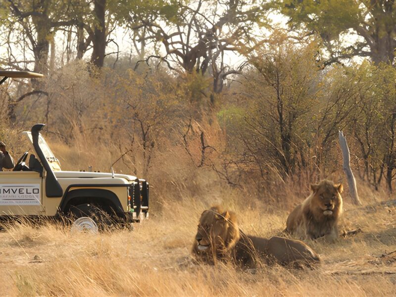 Game drive
