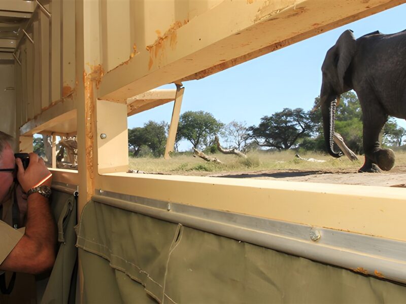 Game viewing blind