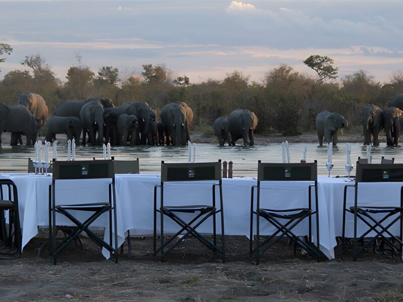 Bush dinner