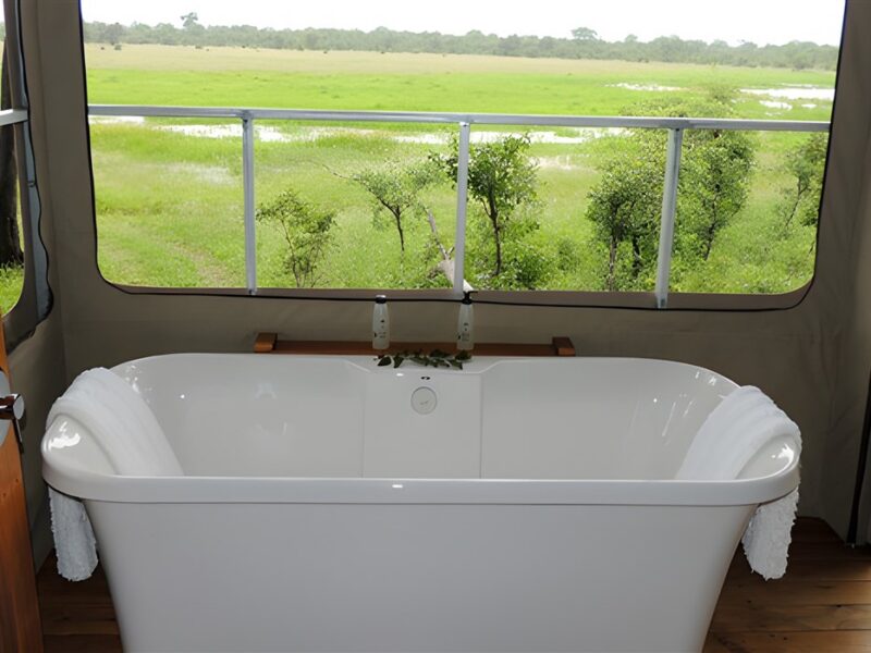 Bath with a view