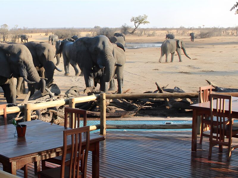 Main Lodge