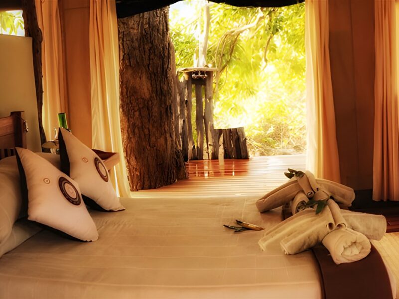 Guest tent