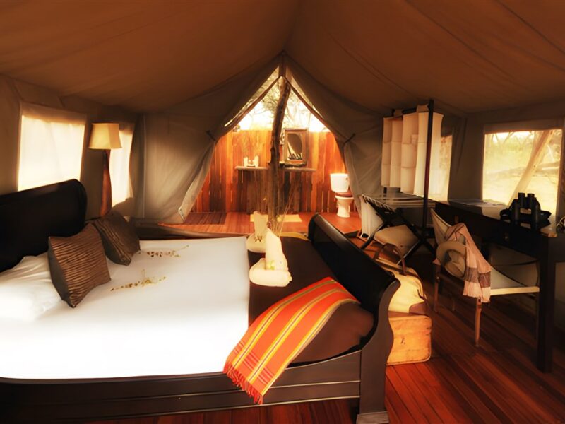 Guest tent