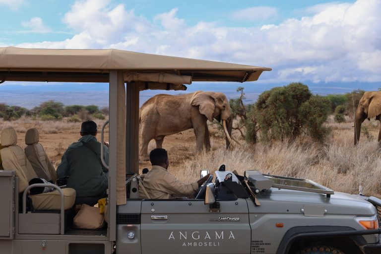 Angama Amboseli - Safari with Super Tusker Elephant