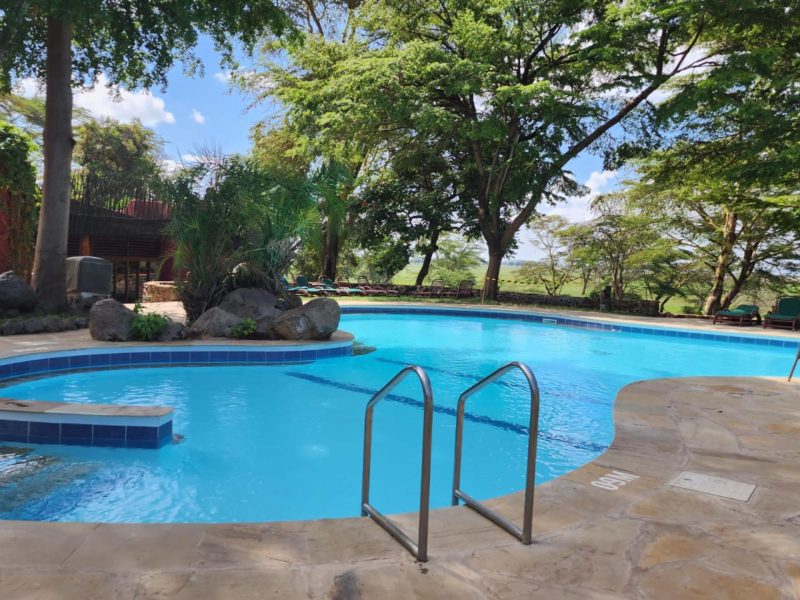 Heated swimming pool at Amboseli Serena Safari Lodge