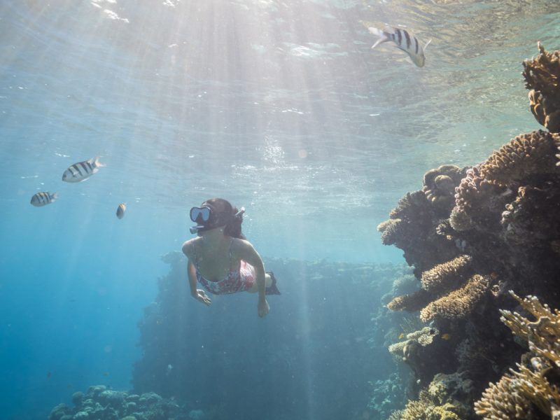Four Seasons Resort Sharm El Sheikh