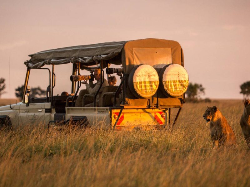Game drives from Karen Blixen Camp take you to see a variety of different wildlife