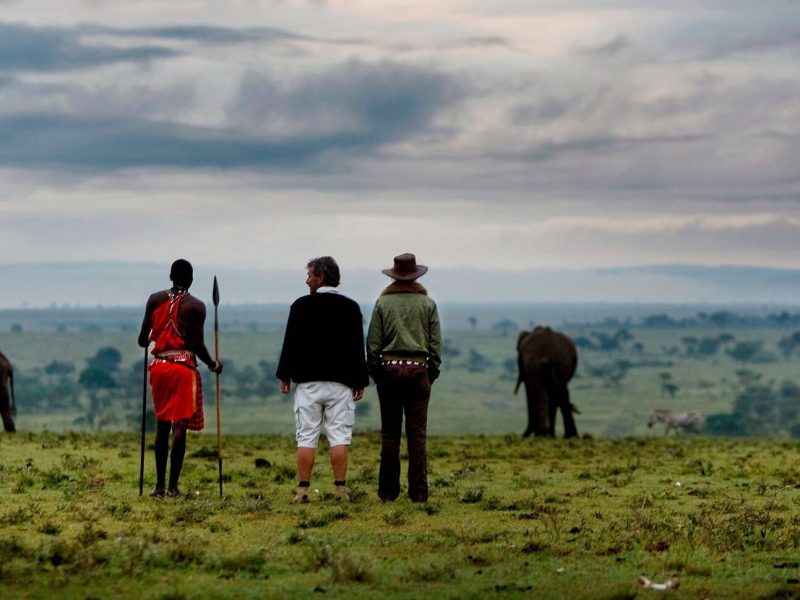 Guided bush walks in the conservancey