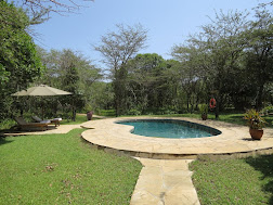The swimming pool at Karen Blixen Camp