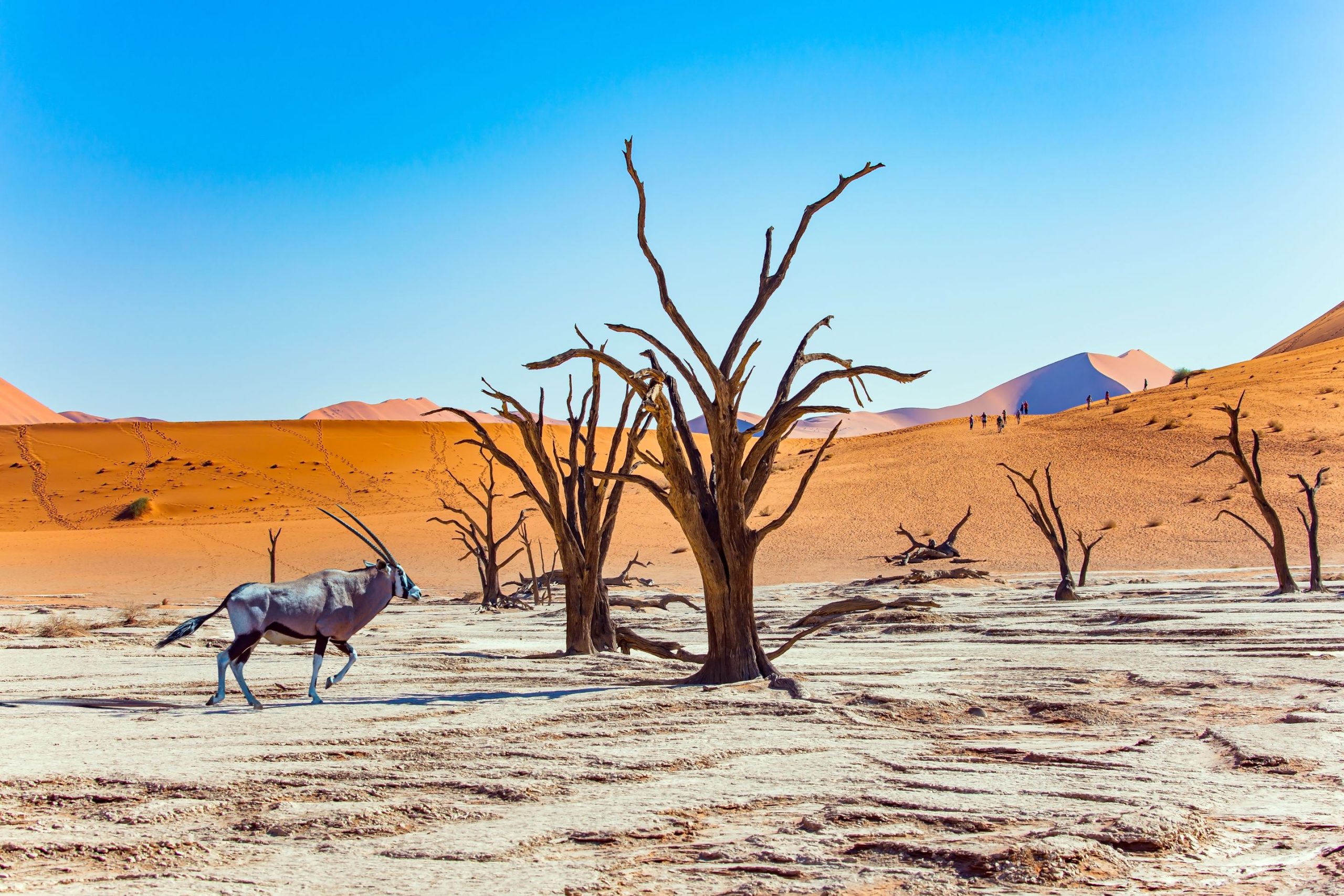 NAMIBIA
